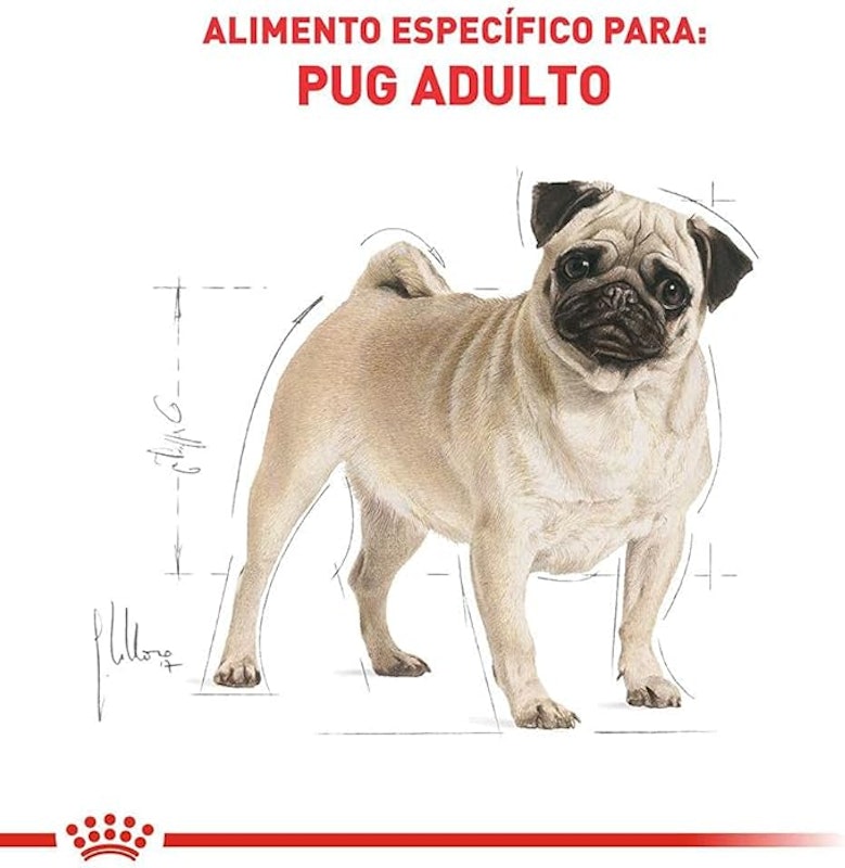 Alimento Seco para Cães Pug Adult 3