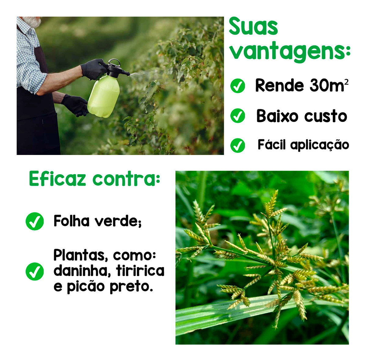Kit com 3 Mata Mato Não Seletivo 3 L 4