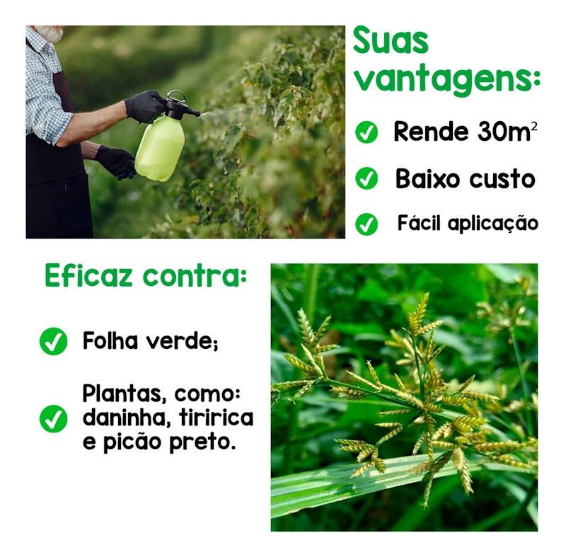 Kit com 3 Mata Mato Não Seletivo 3 L 4