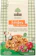 MÃE TERRA Granola Frutas e Mel Vegano 1