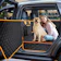 INSMEER Capa Protetora Carro Pet Universal 1