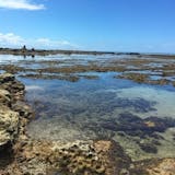 Top 10 Melhores Praias da Bahia em 2026 (Quarta Praia, Moreré e mais) 1