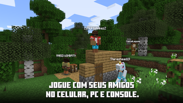 Minecraft 5