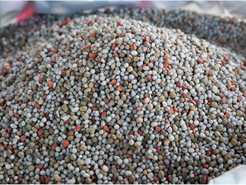 Fertilizante Adubo para Rosa do Deserto 3
