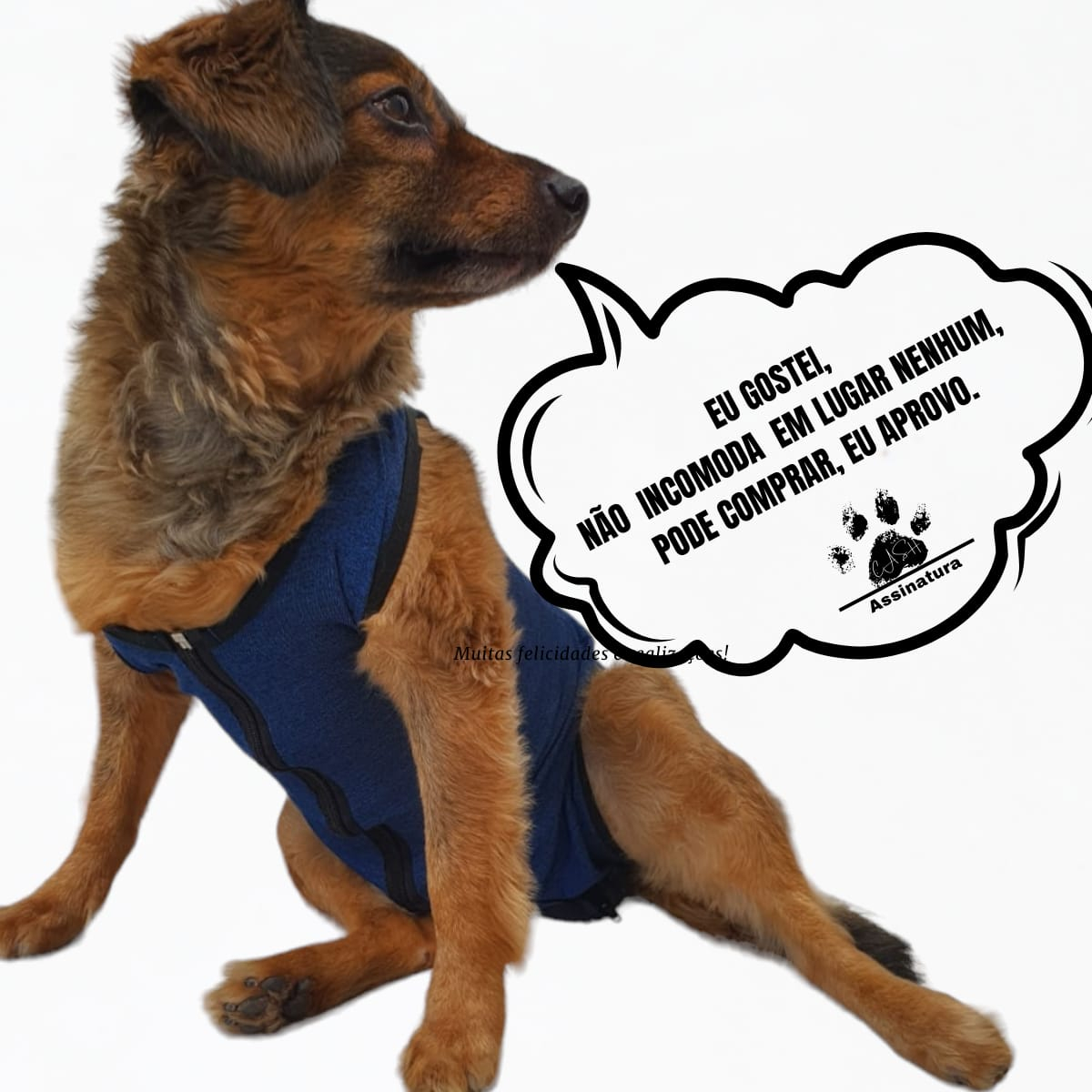 Roupa Protetora Pós-Cirúrgica Pet Macho Fêmea Tam. 00 ao 10 5