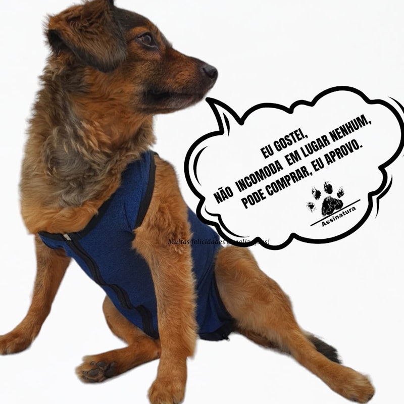 Roupa Protetora Pós-Cirúrgica Pet Macho Fêmea Tam. 00 ao 10 5