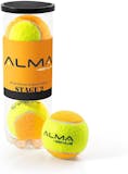 Top 10 Melhores Bolas de Beach Tennis 3