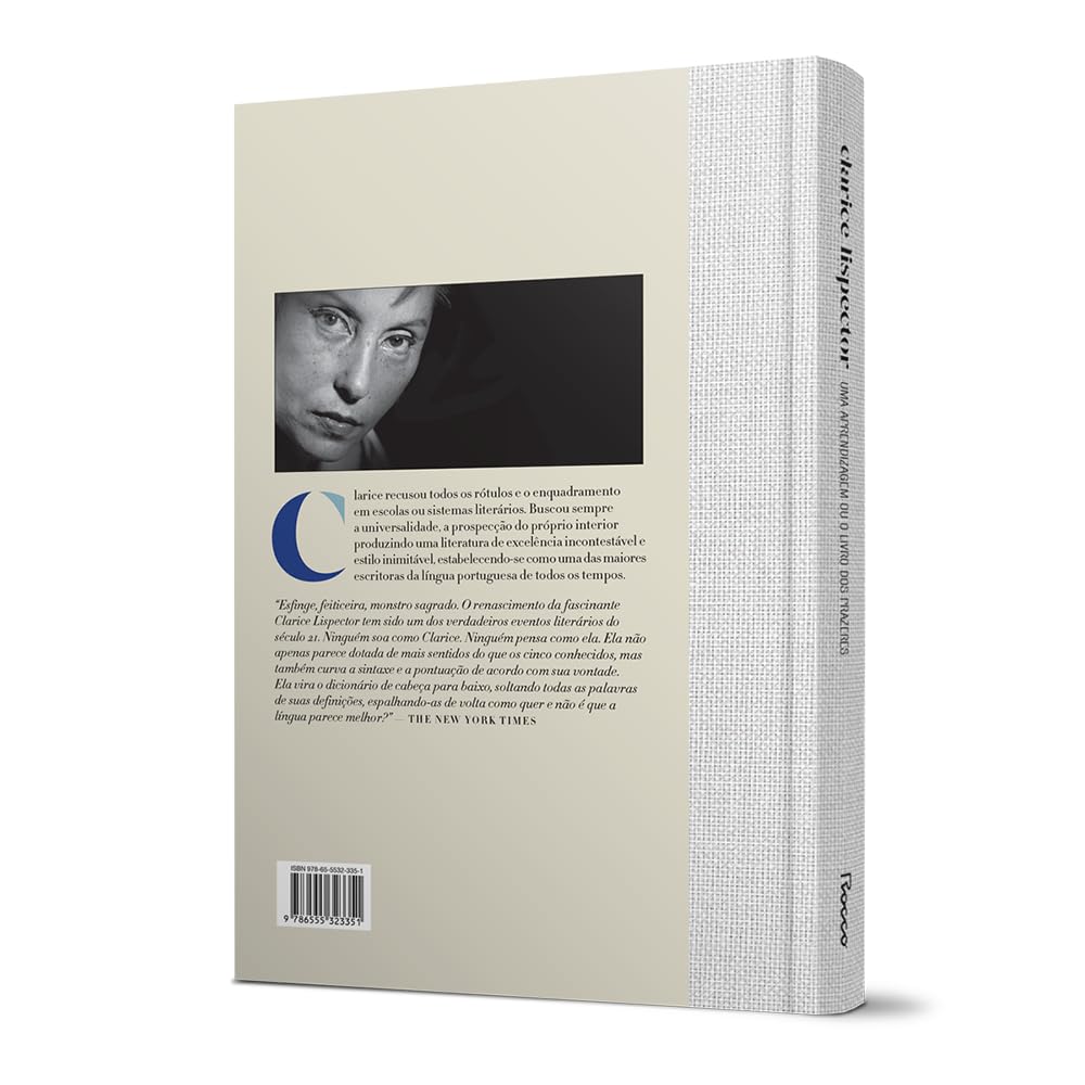 Uma Aprendizagem ou o Livro dos Prazeres 4