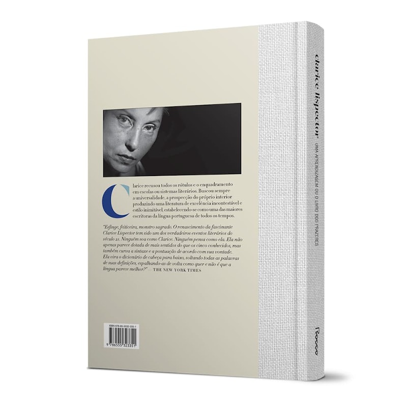 Uma Aprendizagem ou o Livro dos Prazeres 4