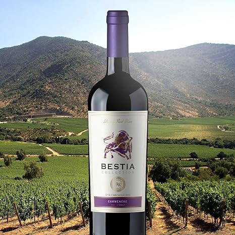 Vinho Tinto Chileno Collection Carmenére 750 ml 3