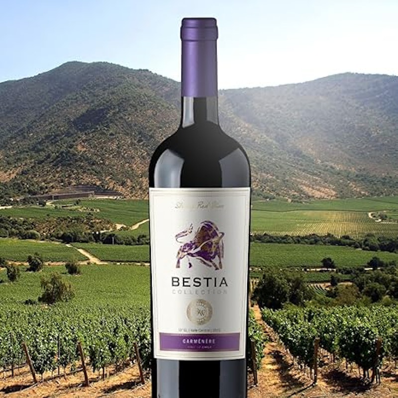 Vinho Tinto Chileno Collection Carmenére 750 ml 3