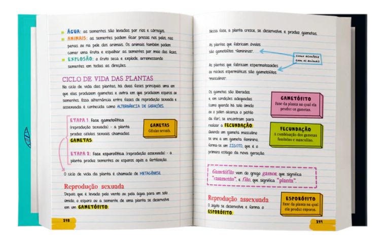 O Grande Livro de Biologia do Manual do Mundo  3