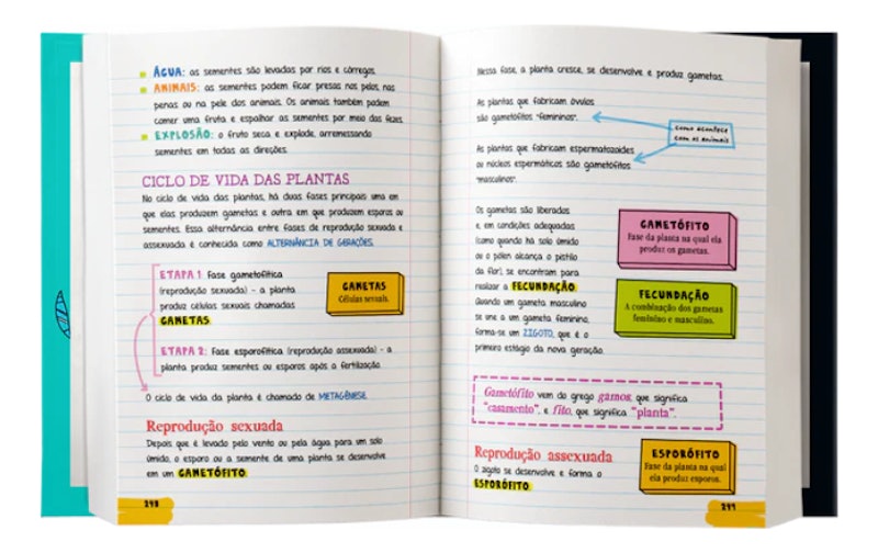 O Grande Livro de Biologia do Manual do Mundo 3