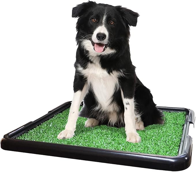 Sanitário Canino com Grama Brinqpet 2