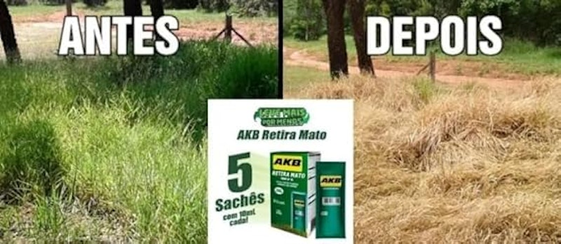 AKB 480 Herbicida 4