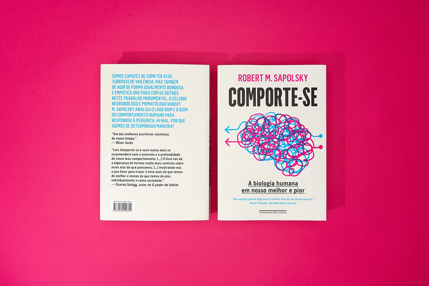Comporte-se  5