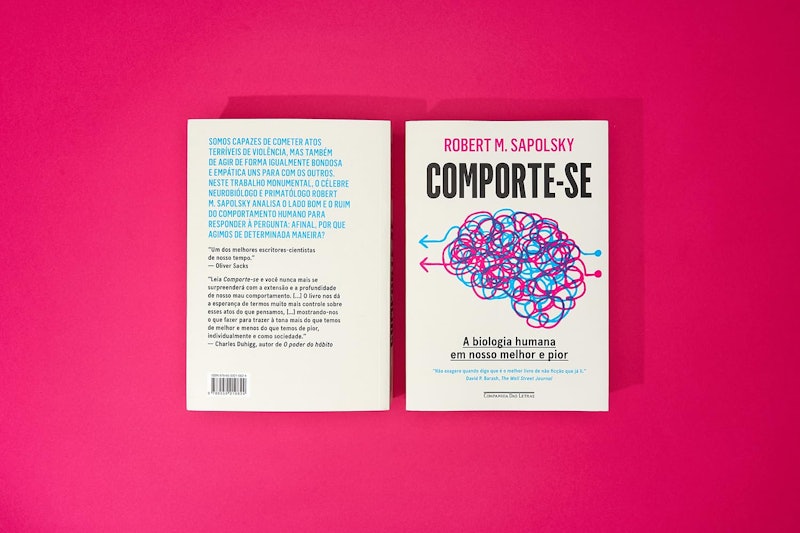 Comporte-se 5