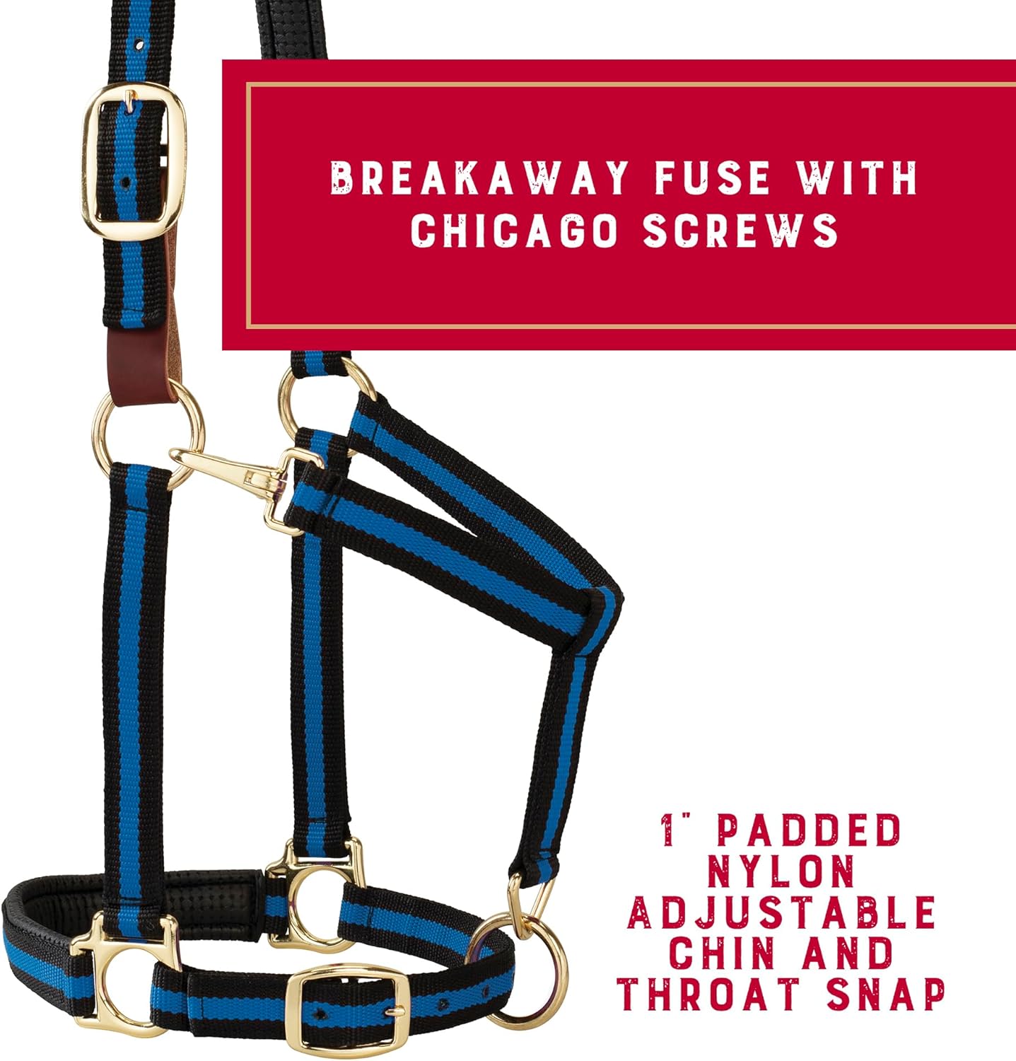 Cabresto Acolchoado com Sistema Breakaway 2
