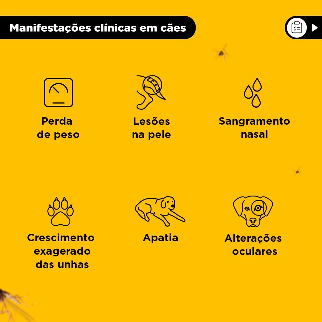Coleira Antiparasitária para Cães Scalibor 5