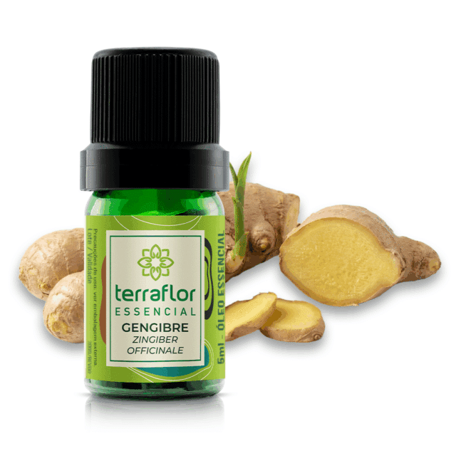Terra Flor 2