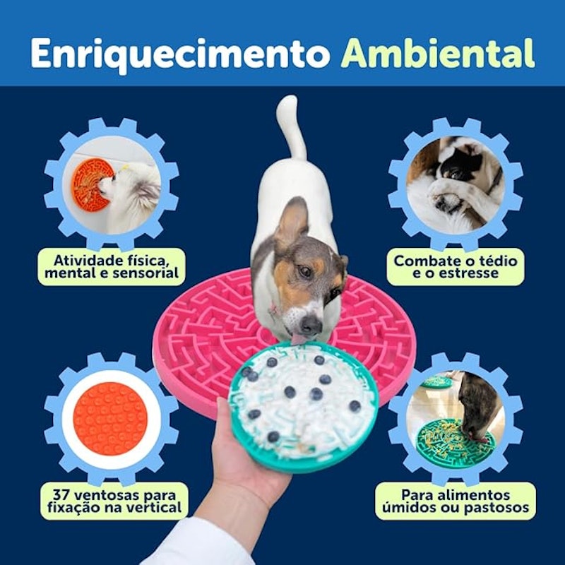 Labirinto G 4