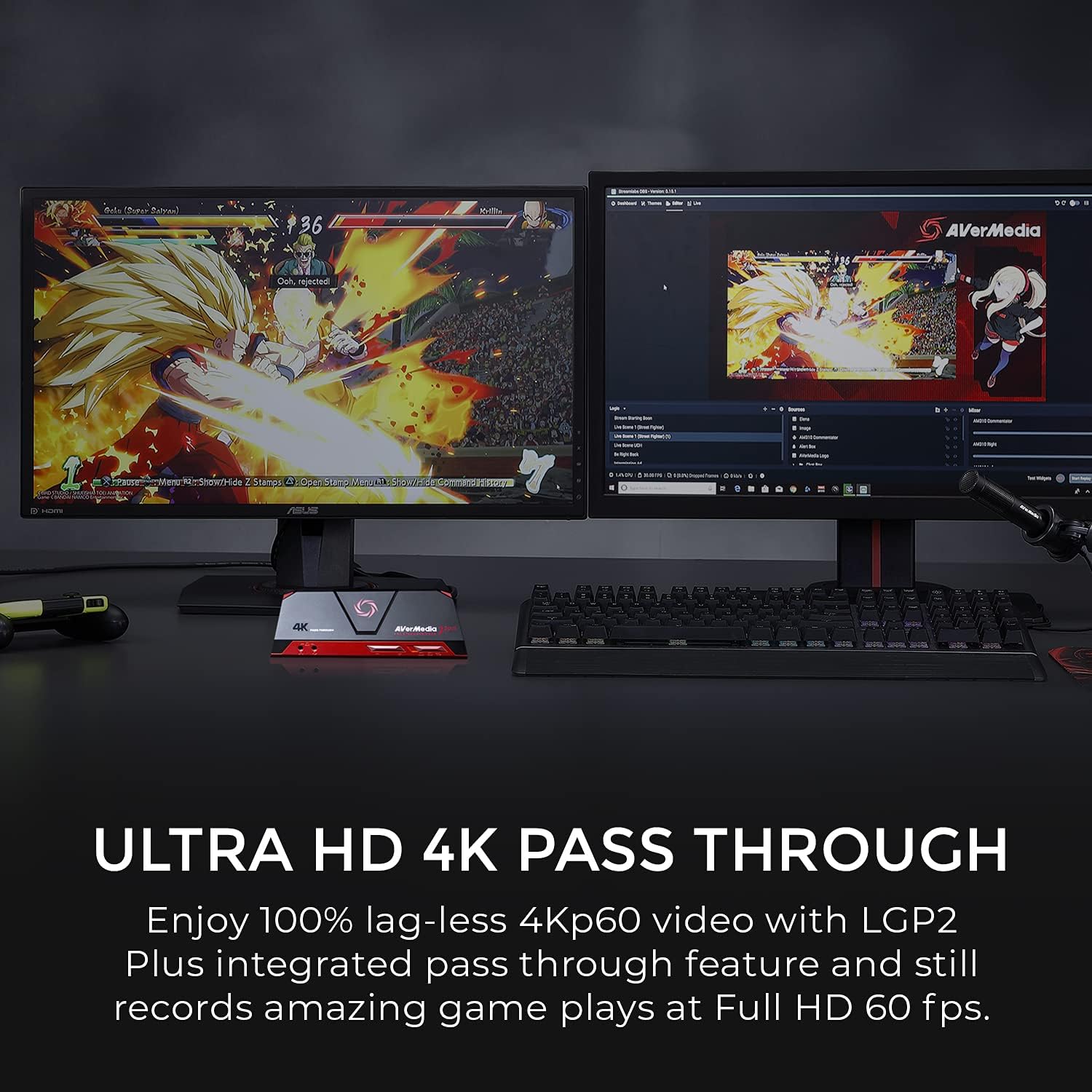 Live Gamer Portable 2 PLUS 4