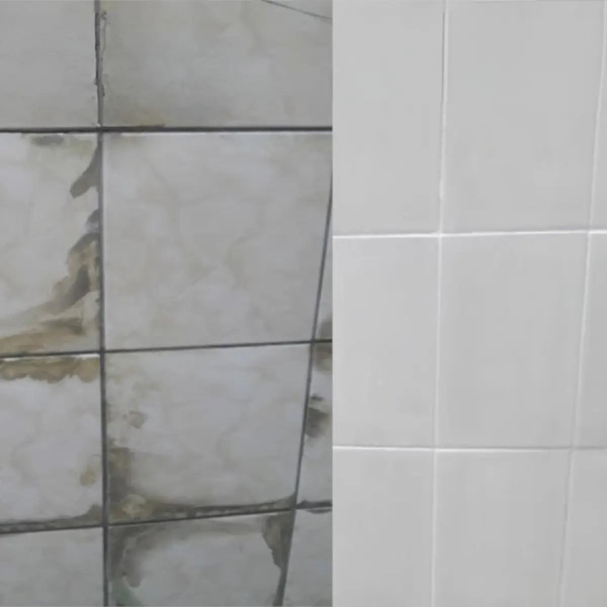 Coral Renova Azulejos Br Base PM 3