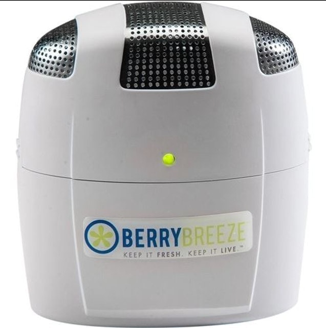 Desodorizador de Geladeira Berry Breeze 1