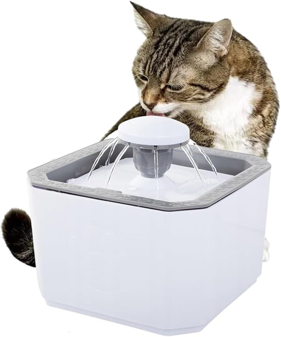 Top 10 Melhores Bebedouros para Gatos em 2026 (Newpet, Amicus e mais) 5