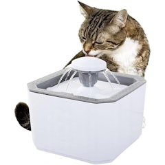 Fonte Bebedouro Elevado Automático de Água 2,5 L Filtro Cães e Gatos Premium Pet