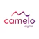 Camelo Digital 1