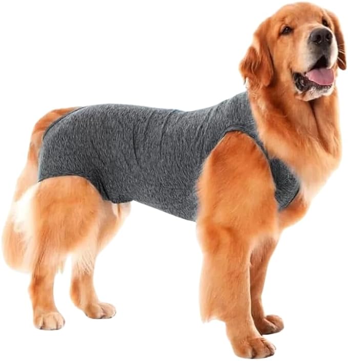Top 10 Melhores Roupas Cirúrgicas para Cachorro em 2026 (Pet Med, Vani Pet e mais) 2