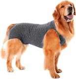 Top 10 Melhores Roupas Cirúrgicas para Cachorro em 2026 (Pet Med, Vani Pet e mais) 2
