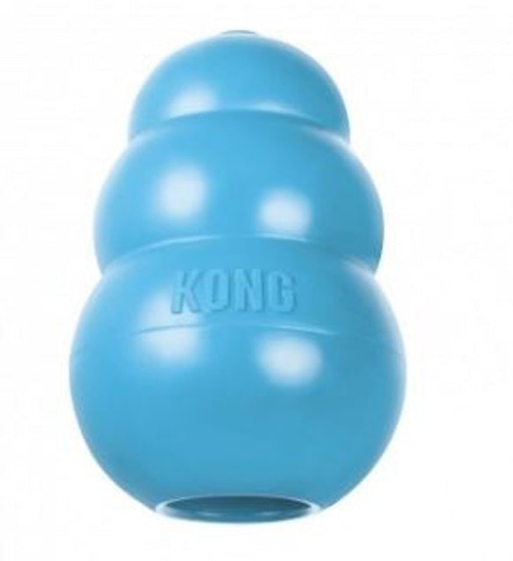 Brinquedo para Cães Filhotes Kong Puppy 2
