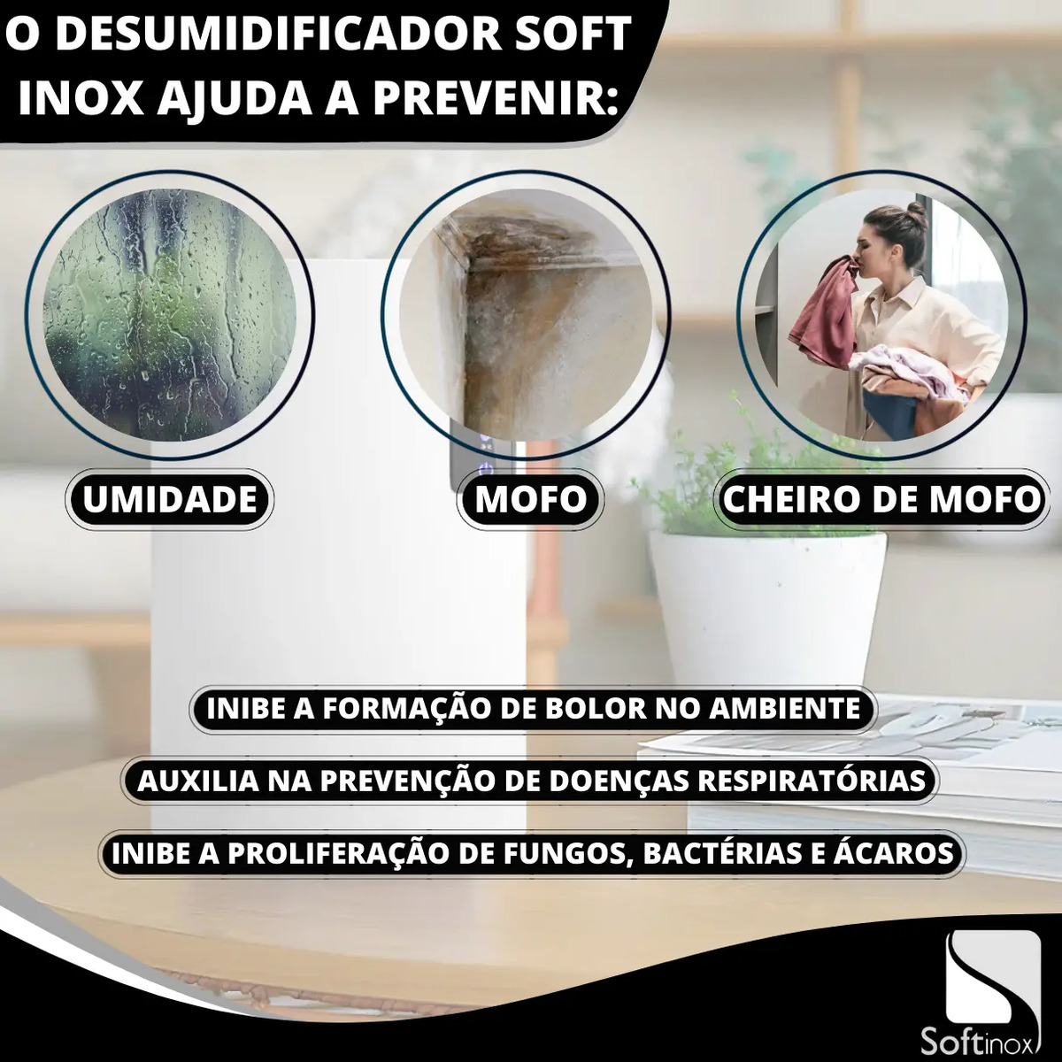 Desumidificador Elétrico Portátil Bivolt Antimofo 3