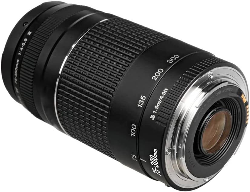 Lente Canon EF 75-300 mm f/4-5.6 III 2
