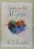 Top 15 Melhores Livros de C. S. Lewis (Cristianismo Puro e Simples e mais) 5