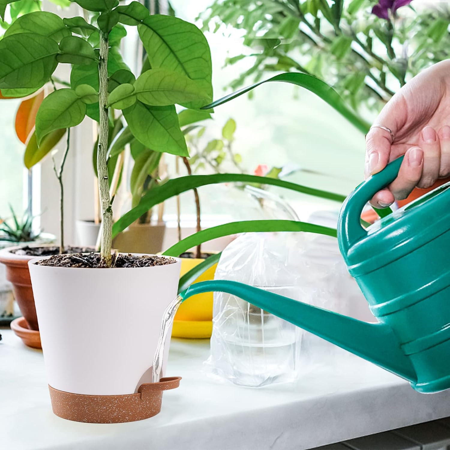 Vasos de Plantas Autoirrigáveis 2