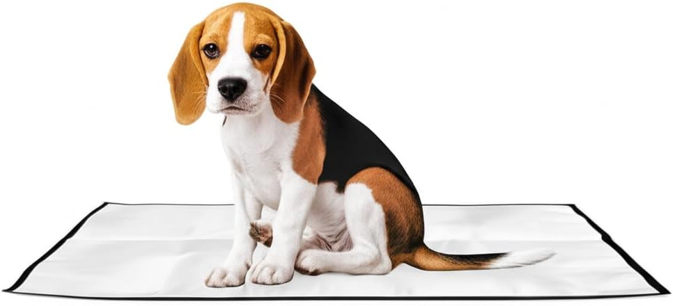 Tapete Higiênico Pet Lavável Reutilizável 1