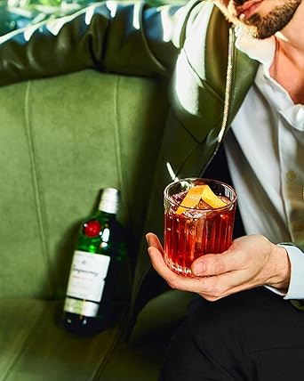 Tanqueray London Dry Gin 4