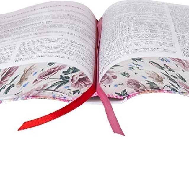 Bíblia da Pregadora Pentecostal 2