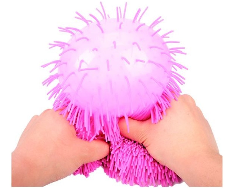 Mania Flofys Doguinho 2