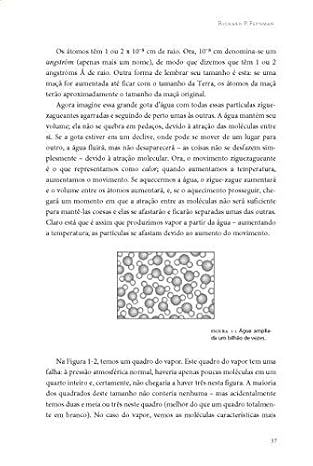 Física em 12 Lições  4