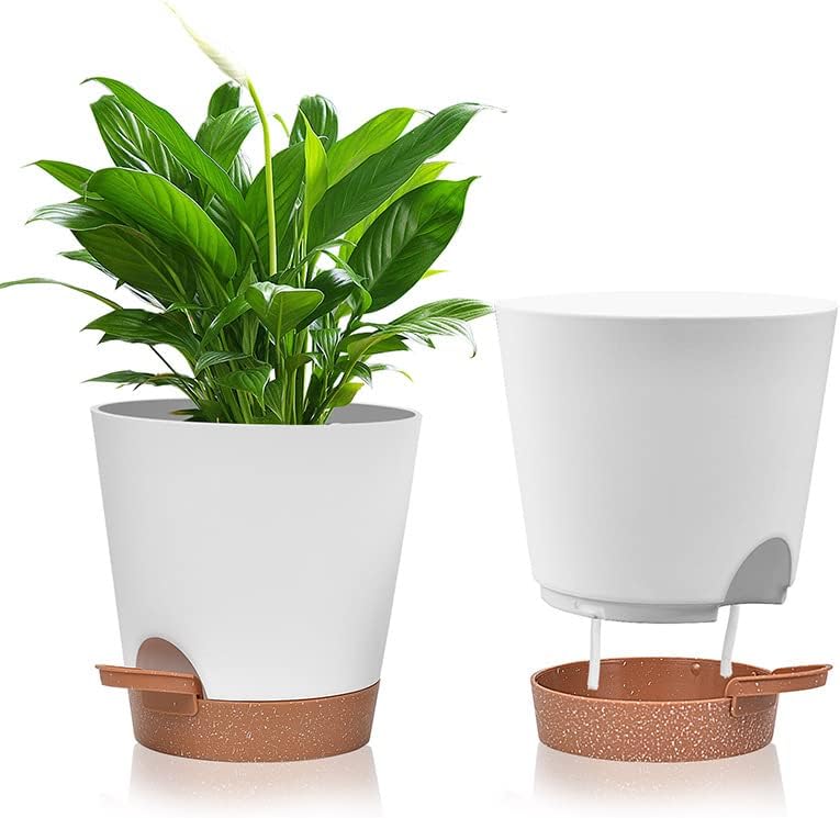 Vasos de Plantas Autoirrigáveis 3