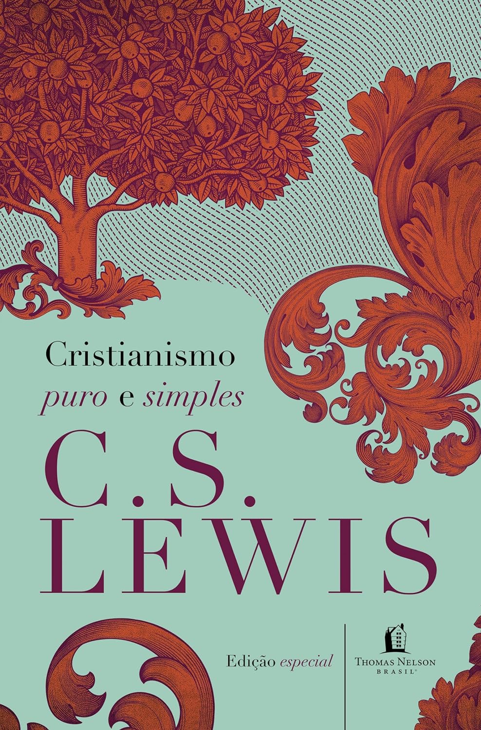 Top 10 Melhores Livros Cristãos para Jovens em 2026 (Autoajuda, Vida Cristã e mais) 2
