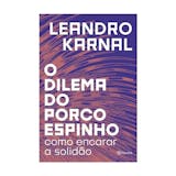 Top 10 Melhores Livros de Leandro Karnal em 2026 (Crer ou Não Crer e mais) 1
