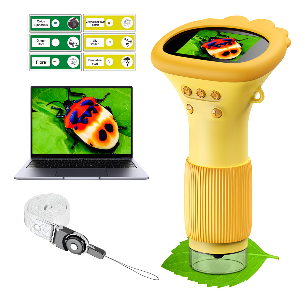 Microscópio de Bolso Infantil 1