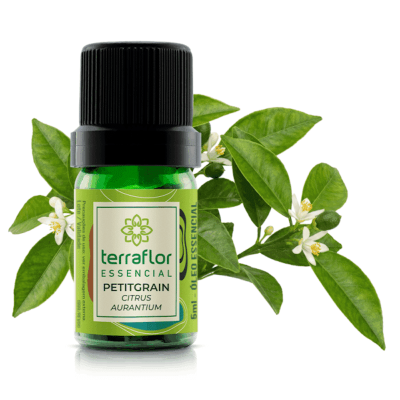 Terra Flor 3