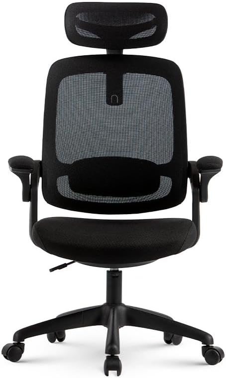 Cadeira Ergonômica Astra  4
