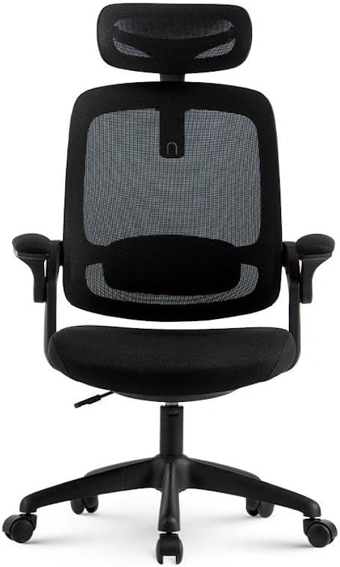 Cadeira Ergonômica Astra 4
